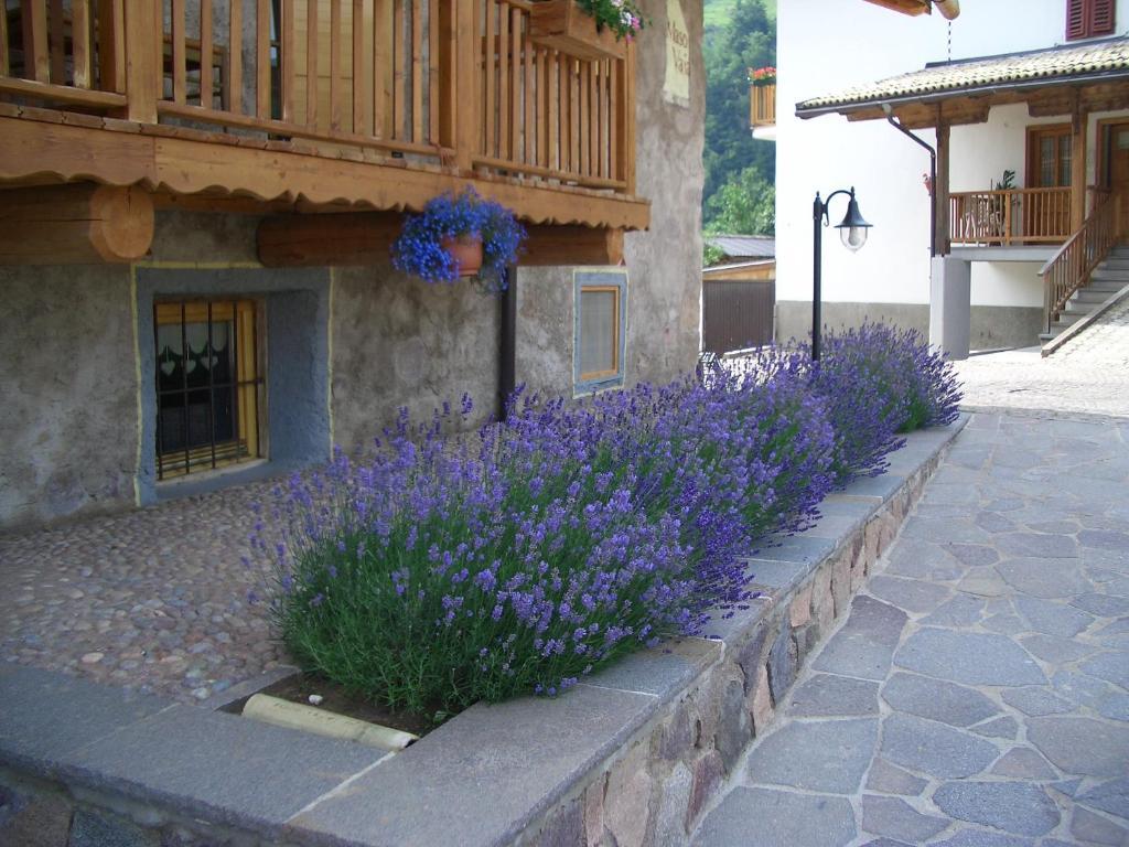 Maso Vaia Bed & Breakfast Cavalese Exterior photo